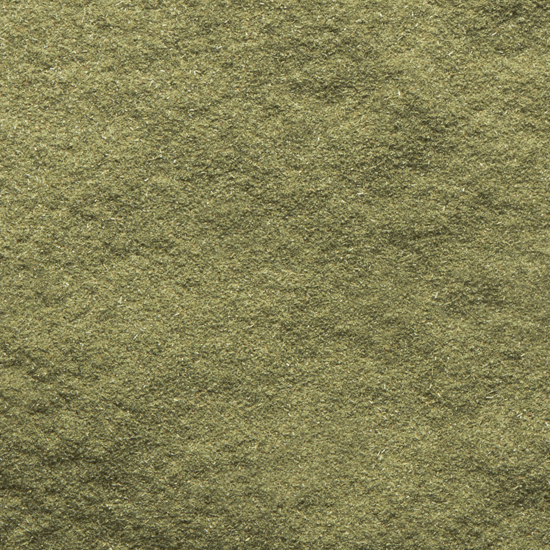 organic barley grass powder