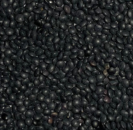 organic black beluga lentils